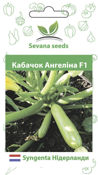 Насіння кабачка Ангеліна F1 5 шт. Syngenta, фото 1