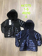 Зимові куртки на хлопчика гуртом, S&D, 1-5 рр