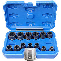Набір спеціальних голівок для злизаних гайок  (6.3-19 мм) 15 ел. Vorfal V08085