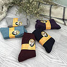 Жіночі зимові шкарпетки із вовни ангорського кролика р.36-42 (упаковка 5шт) різні кольори, фото 10