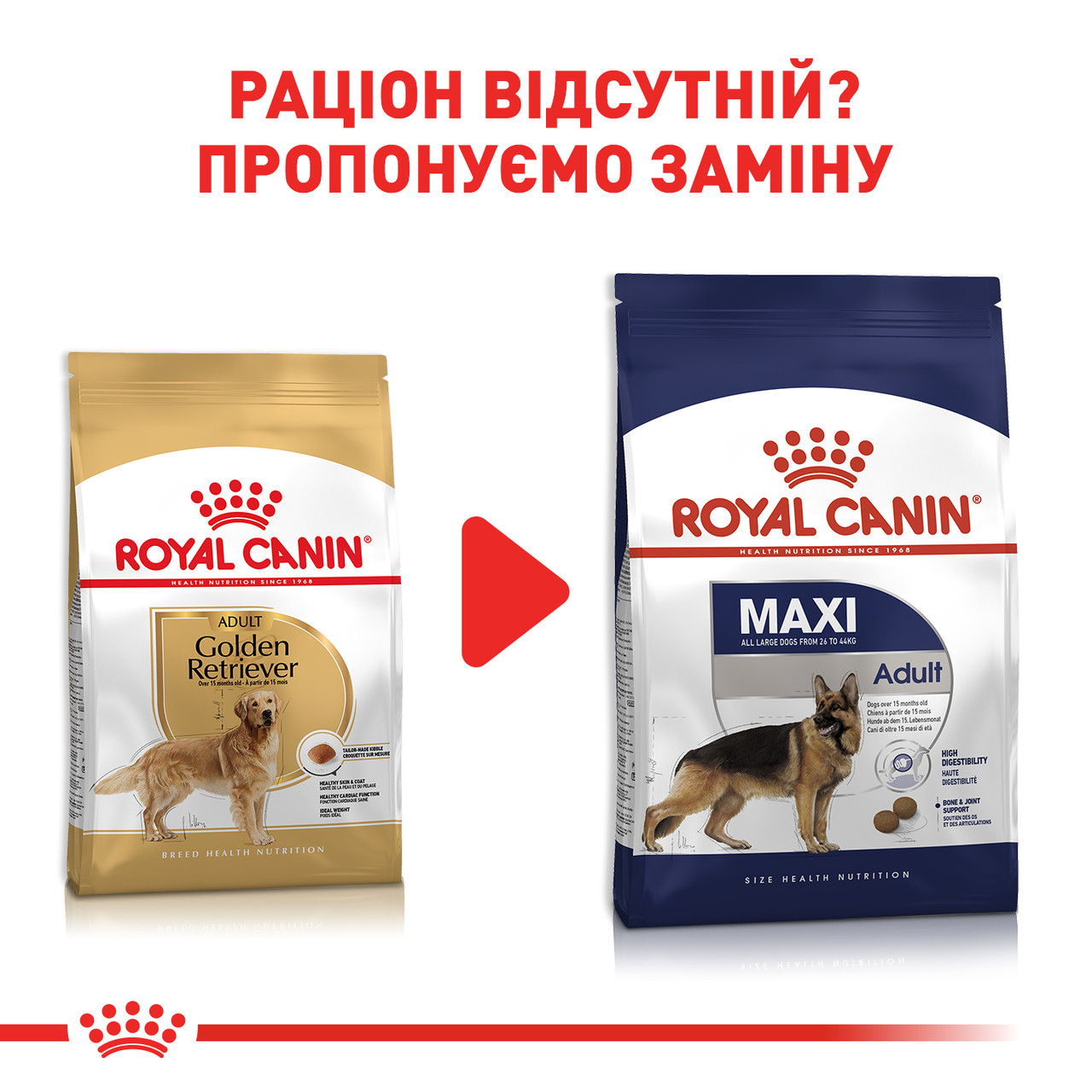 Royal Canin Golden Retriver 25 Adult сухий корм для собак 12КГ