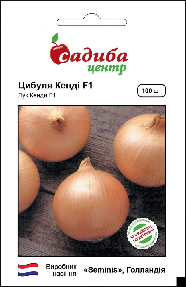 Цибуля Кенді F1, 100 шт, Садиба Центр, фото 1
