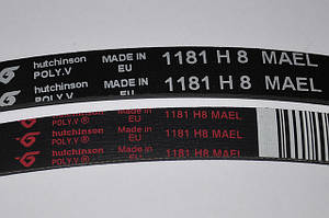 Ремінь C00066521 1181 H8 MAEL для пральних машин Indesit, Ariston