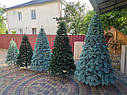 Ялинка штучна лита Швейцарська 2.1м зелена, фото 3