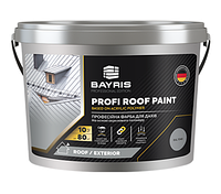 Краска для крыш профессиональная "Profi Roof Paint" (Белая) 2, 5