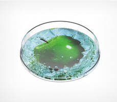 Пластикова монетниця кругла RONDA Арт.37250