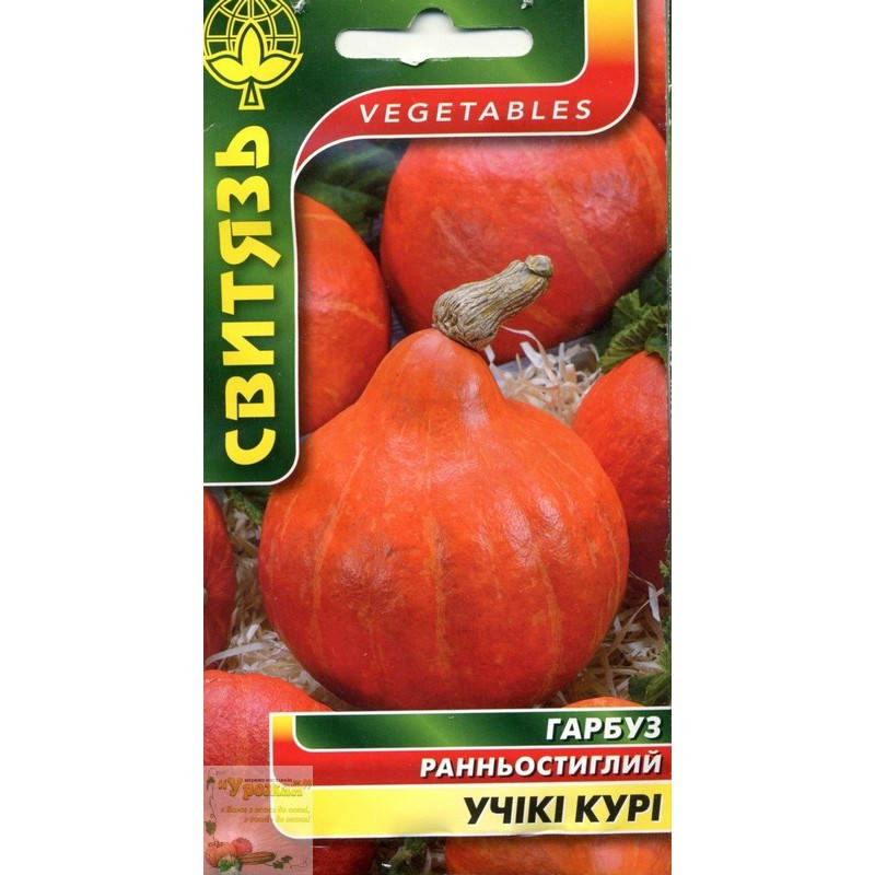 

Семена тыква Учики Кури, 15 семян