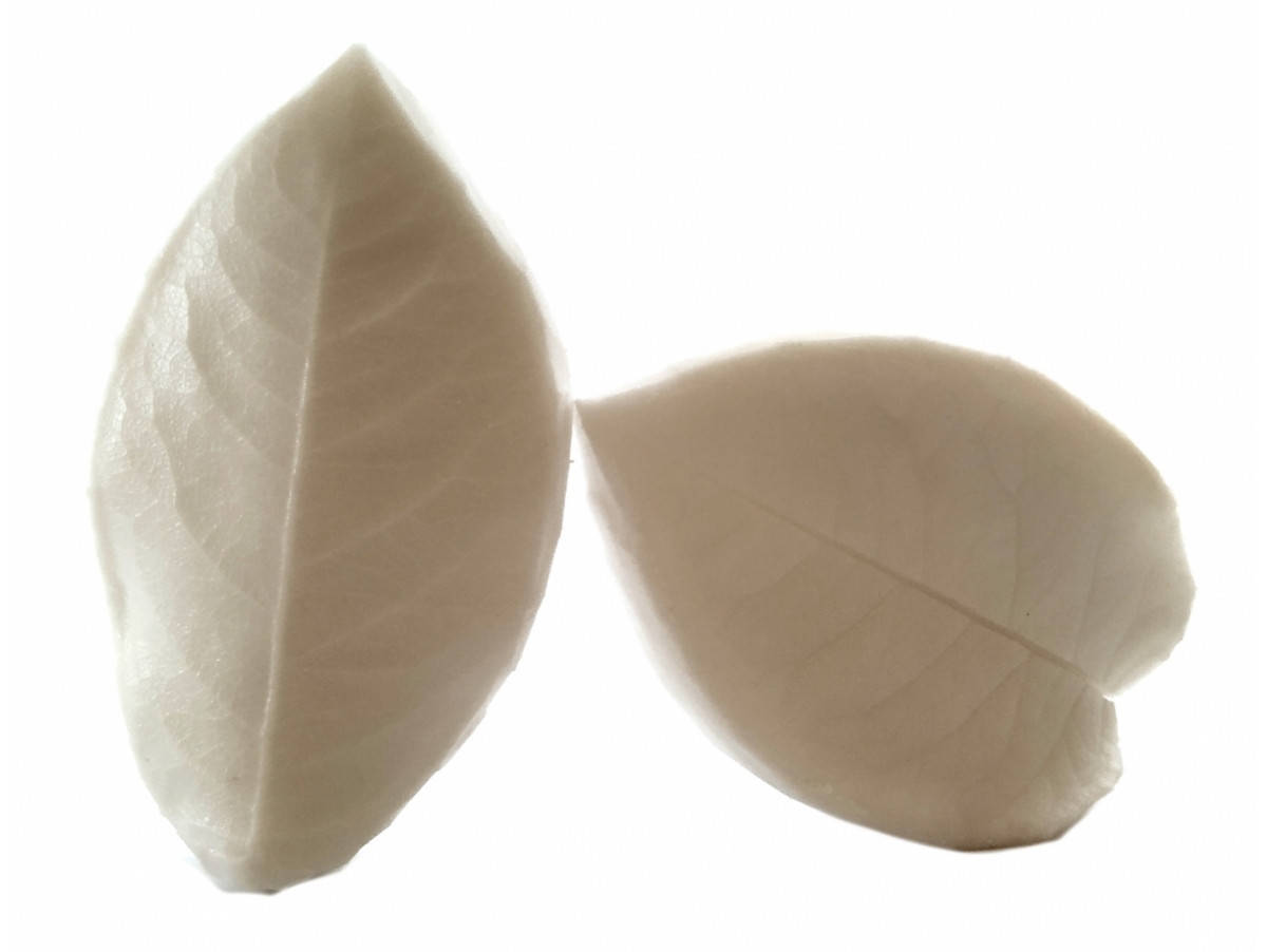 

Вайнер Лист розы