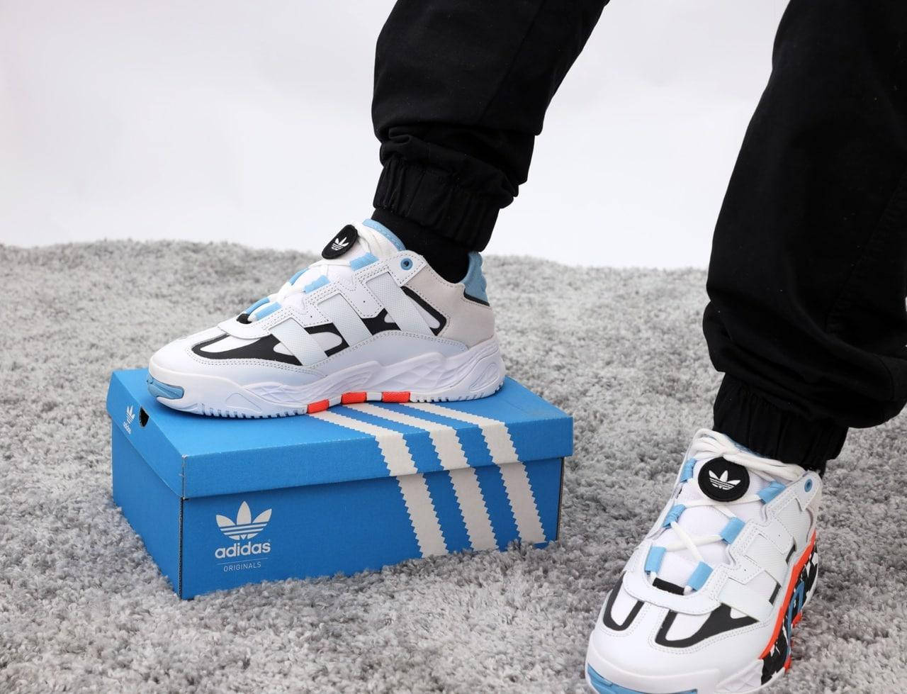 

Мужские кроссовки Adidas Niteball White-Blue (Бело-Голубой) 43