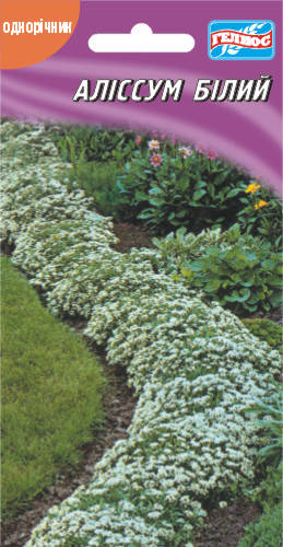 

Алиссум белый 500 шт.