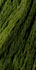

Мулине Sampler Threads The Gentle Art 0196 Green With Envy (США), Зелёный