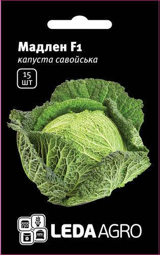 

Семена капусты Мадлен (Madlene ) F1, 15 шт., савойской, ТМ "ЛедаАгро"