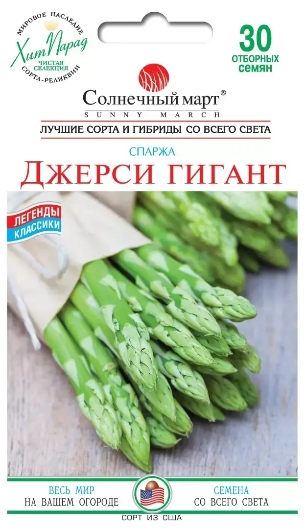 

Джерси гигант Спаржа