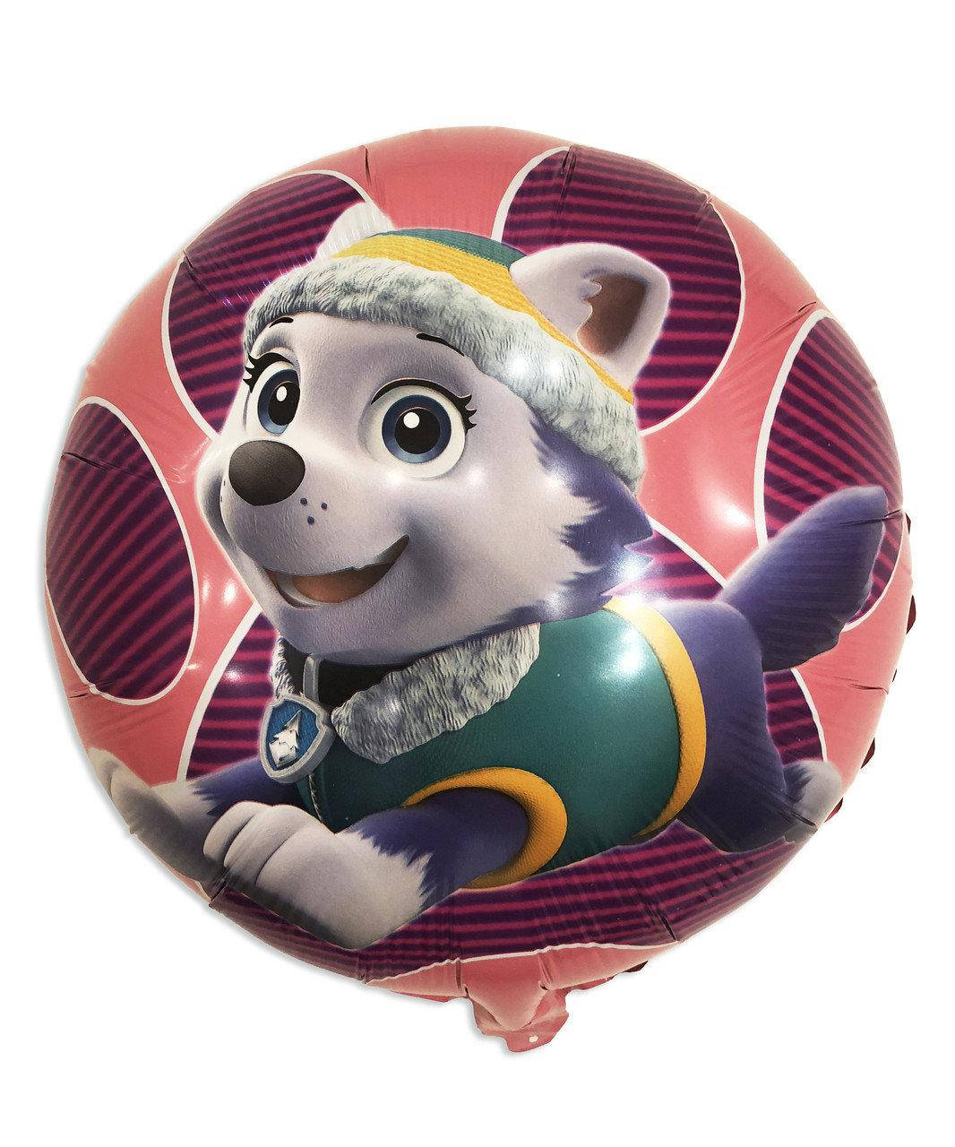 

Шар фольгированный круглый "Щенячий патруль", Скай