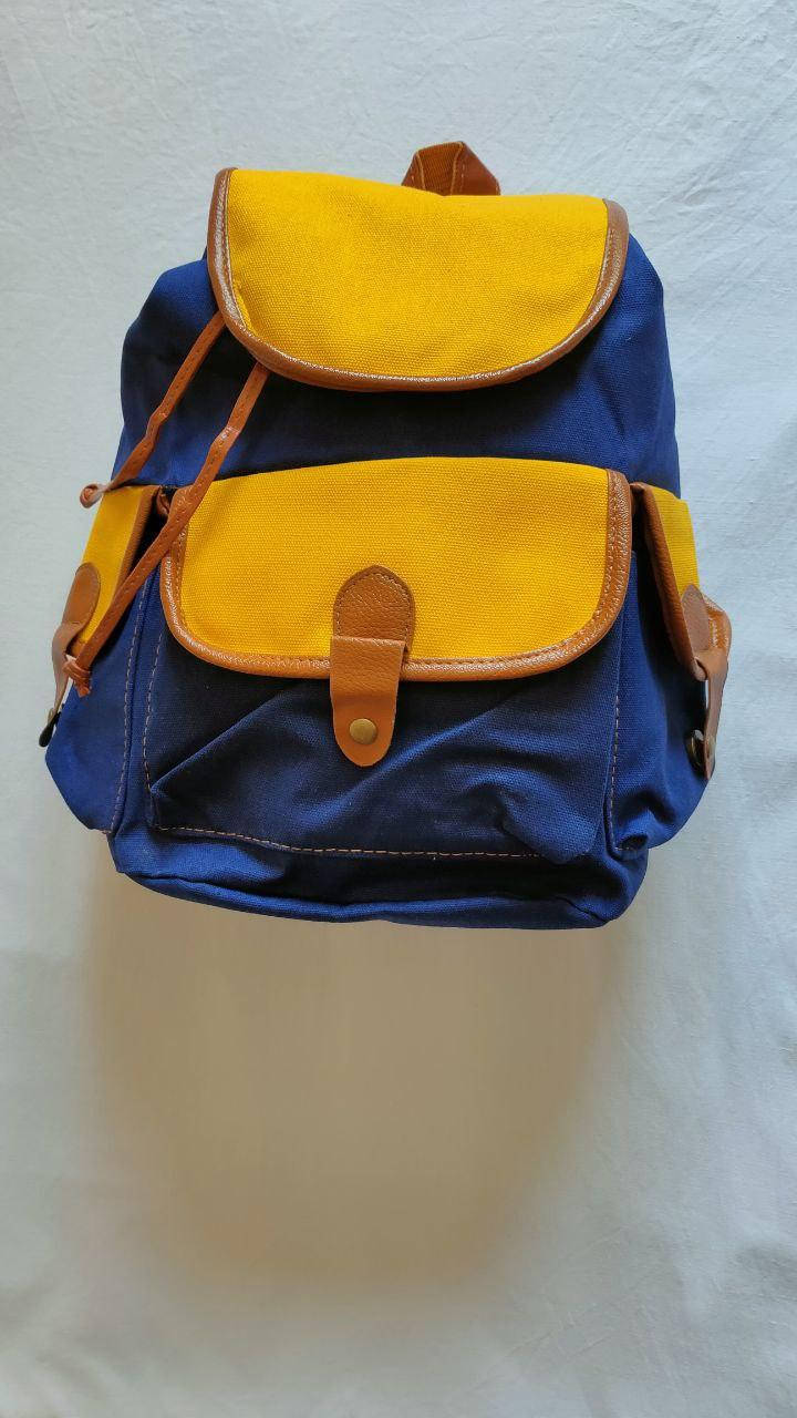 

Рюкзак сине желтый Холщовый Флаг Украины Сумка желто синяя 40х30х16 см