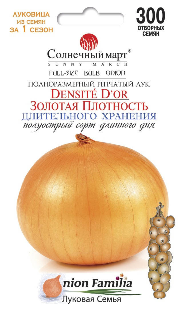 

Лук Золотая плотность, 300шт.
