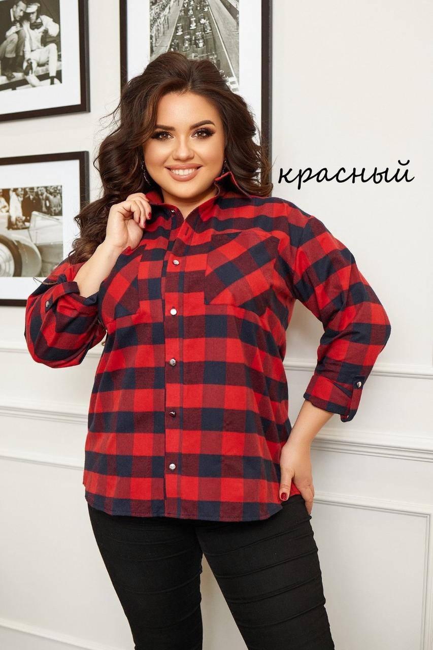 

Рубашка женская полубатальная в клетку, размеры 56-60 (5цв) "ASTRA" купить недорого от прямого поставщика, Разные цвета