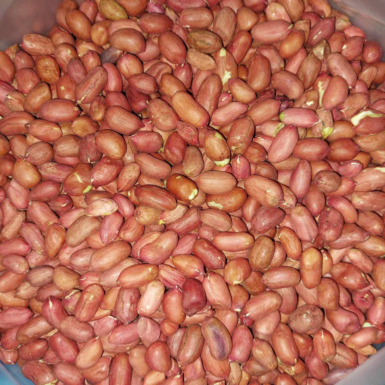 

Арахис сырой Узбекистан