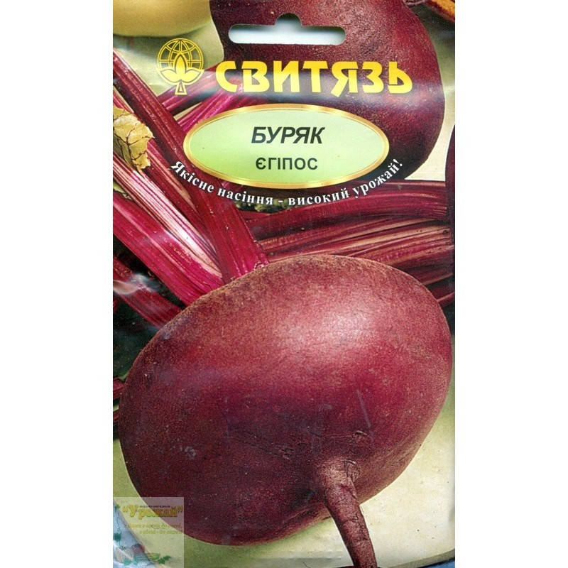 

Семена свекла столовая Египос, 10 г
