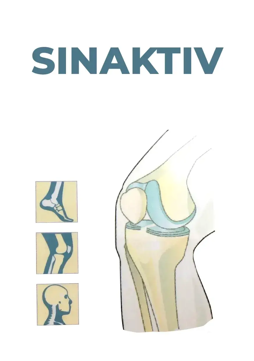 

Sinaktiv (Синактив) - капсулы для суставов