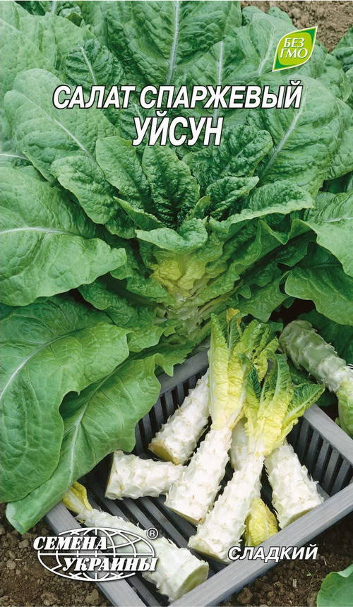 

Салат Уйсун Спаржевий 1г (ТМ Семена Украины)