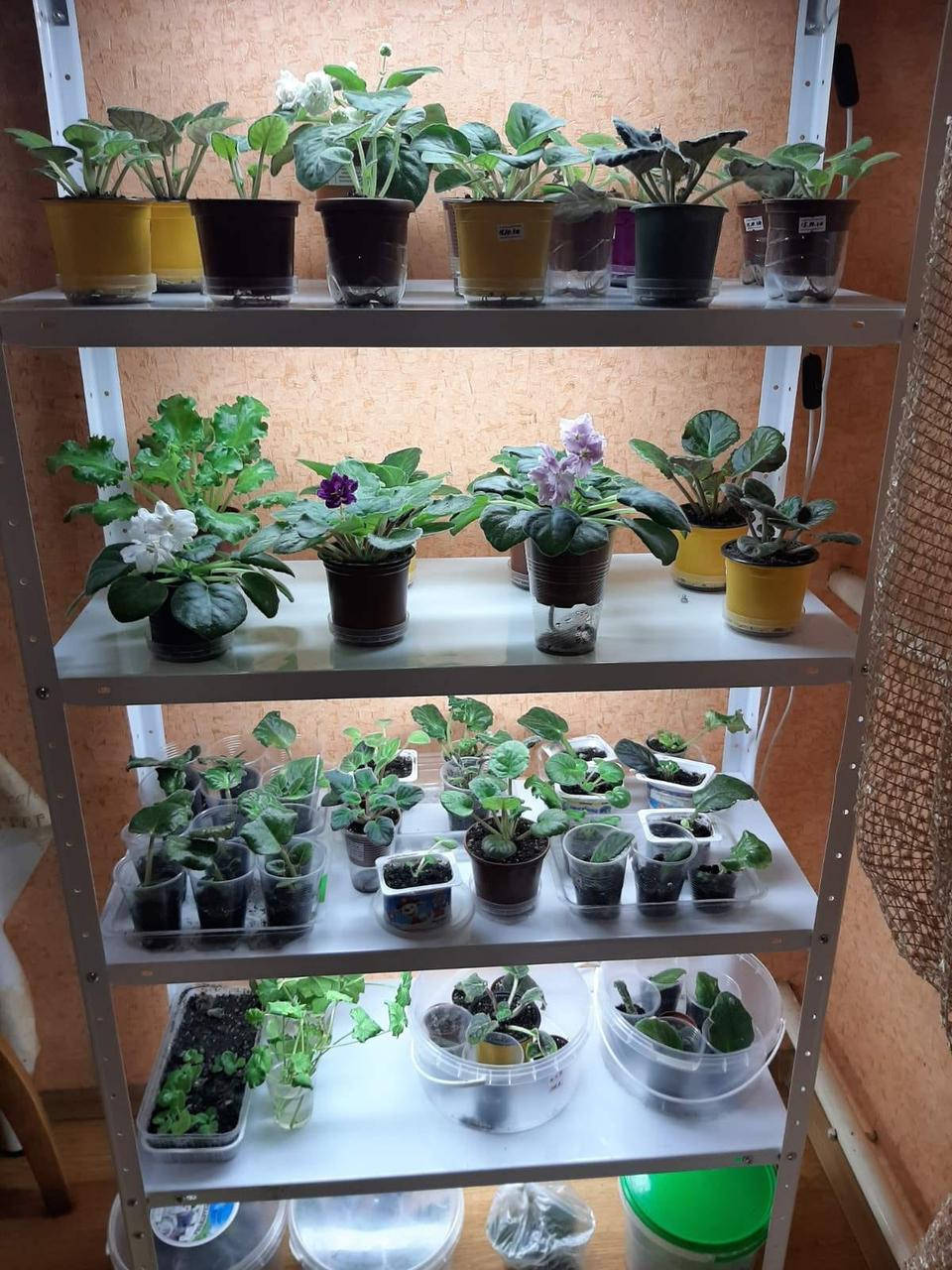 

Подставка для цветов "Стеллаж металлический-1" на4полки с подсветкой (4-мя лед лампами белого холодного света)