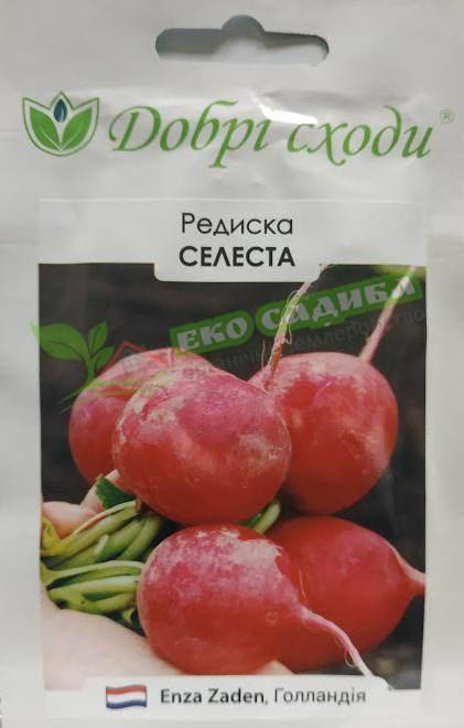 

Редис Селеста F1, 3г