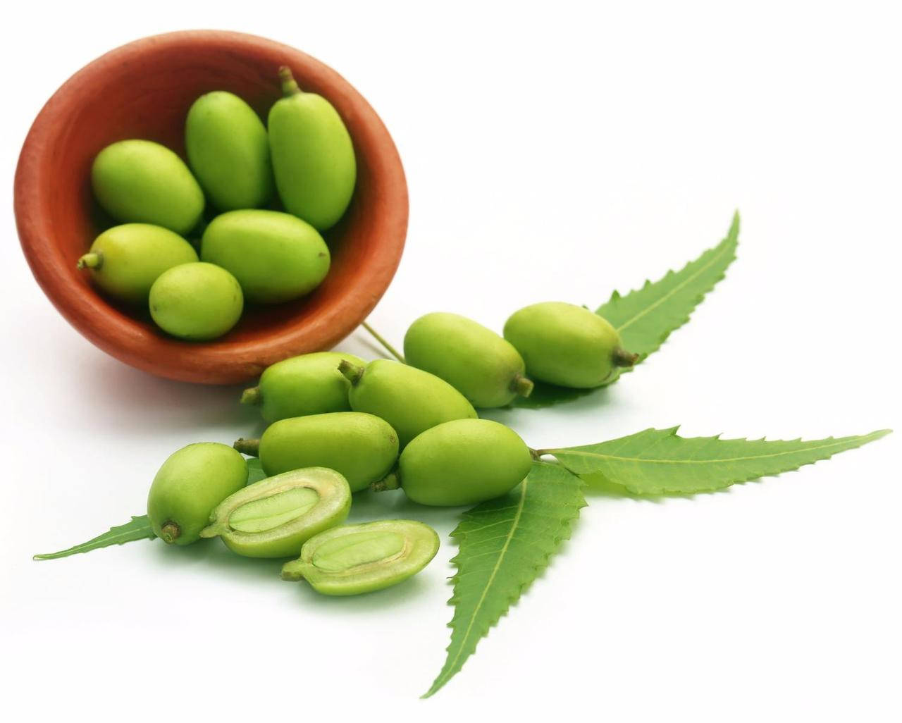 

Мыло Ним 75 г (Neem Soap)