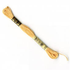 

Мулине DMC 3856 8м