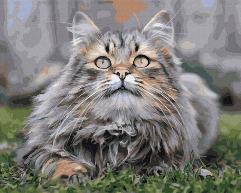 

Картина по номерам Мейн-кун 40х50 см Rainbow Art (BK-GX41675)