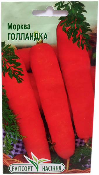

Семена моркови Голландка 2 г ранняя