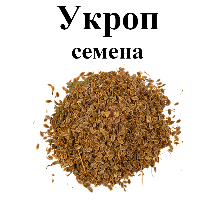

Семена укропа, 60 грамм