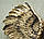 Настінний декор "Крила ангела" 55 см Гранд Презент СП515, фото 3