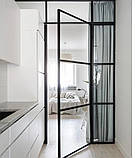Двері та Перегородки з металу та скла, фото 4