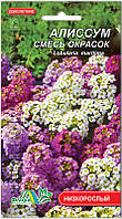 Насіння квітів Алісум суміш кольорів 0,1 г. Флора маркет