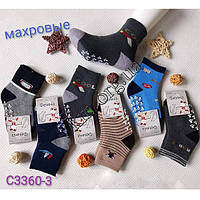 Шкарпетки махра дитячі для хлопчиків Фенна 1-2 3-4 5-6 роки C3360-3
