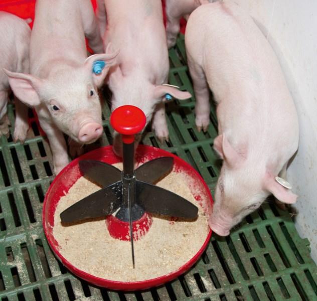 Годівниця з кріпленням до решітки Mini Piglet