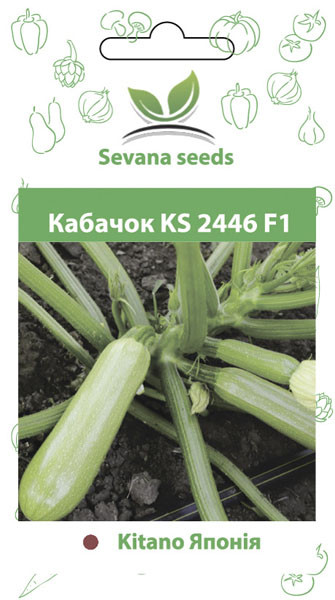 Кабачок KS 2446 F1 5 шт. Kitano, фото 1