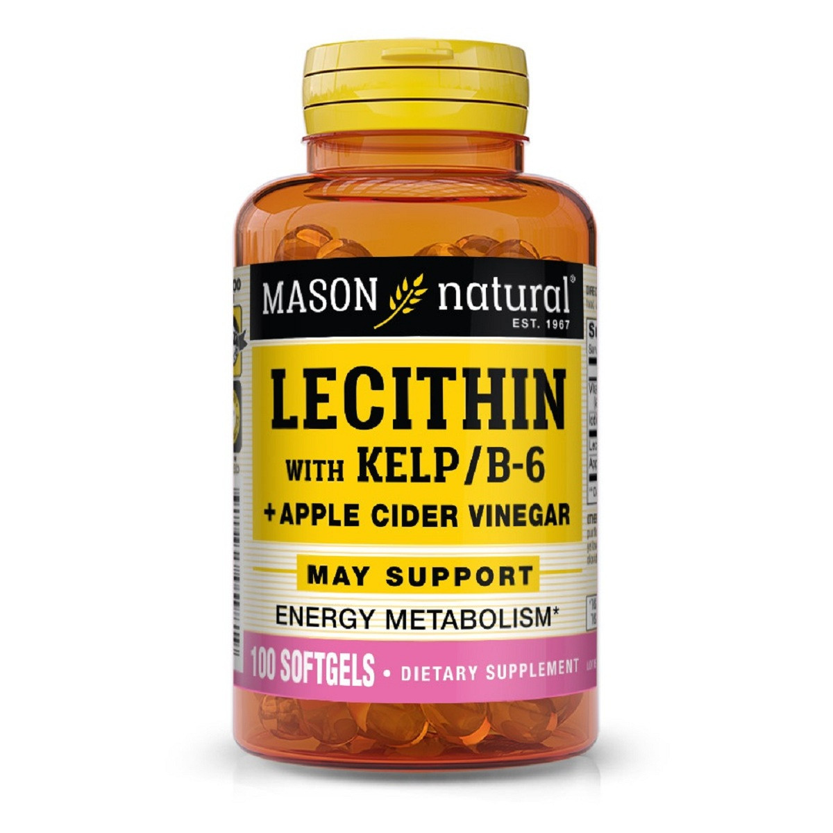Лецитин з водоростями, вітаміном B6 і яблучним оцтом, Lecithin With Kelp/Vitamin B 6 Plus Cider Vinegar,
