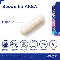 Босвелія АКБА, Boswellia AKBA, Pure Encapsulations для підтримки здоров'я суглобів., 120 капс. BX189, фото 5