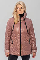 Пудровая женская куртка средней длины демисезонная большого размера, размер 48-58
