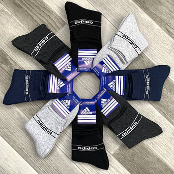 Шкарпетки чоловічі спортивні махрові бавовна Adidas, розмір 41-44, асорті, 09901