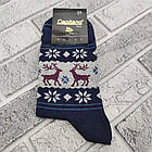 Шкарпетки чоловічі високі весна/осінь р.25 олені асорті CAPITANO лайкра 30036446, фото 2