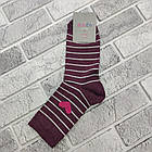 Шкарпетки жіночі високі весна/осінь р.23-25 Серце+смужка бордо MODO SOCKS 30036400, фото 2