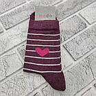 Шкарпетки жіночі високі весна/осінь р.23-25 Серце+смужка бордо MODO SOCKS 30036400, фото 3