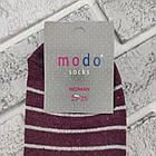 Шкарпетки жіночі високі весна/осінь р.23-25 Серце+смужка бордо MODO SOCKS 30036400, фото 5