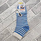 Шкарпетки дитячі середні весна/осінь р.22 Кролик блакитна смужка CAPITANO 30036403, фото 2