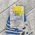 Шкарпетки дитячі середні весна/осінь р.22 Кролик блакитна смужка CAPITANO 30036403, фото 4