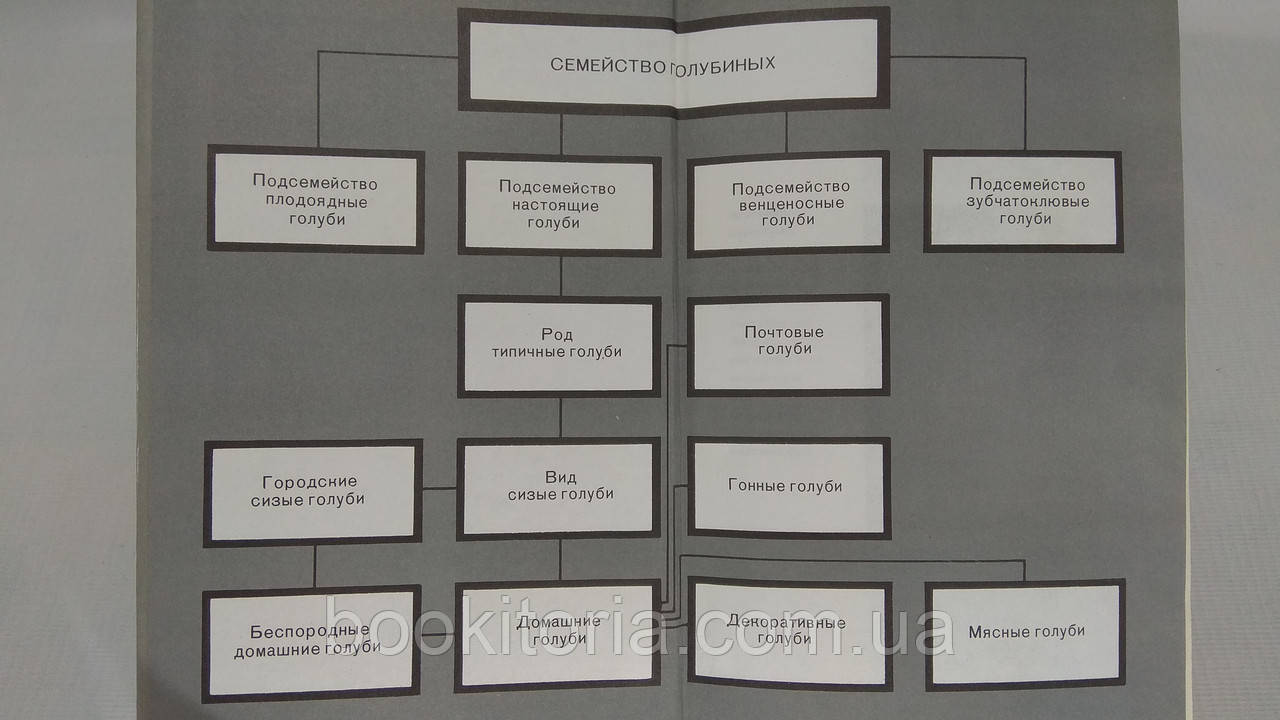 Рахманов А., Бессарабов Б. Голуби и профилактика их заболеваний (б/у). - фото 4 - id-p1684115476