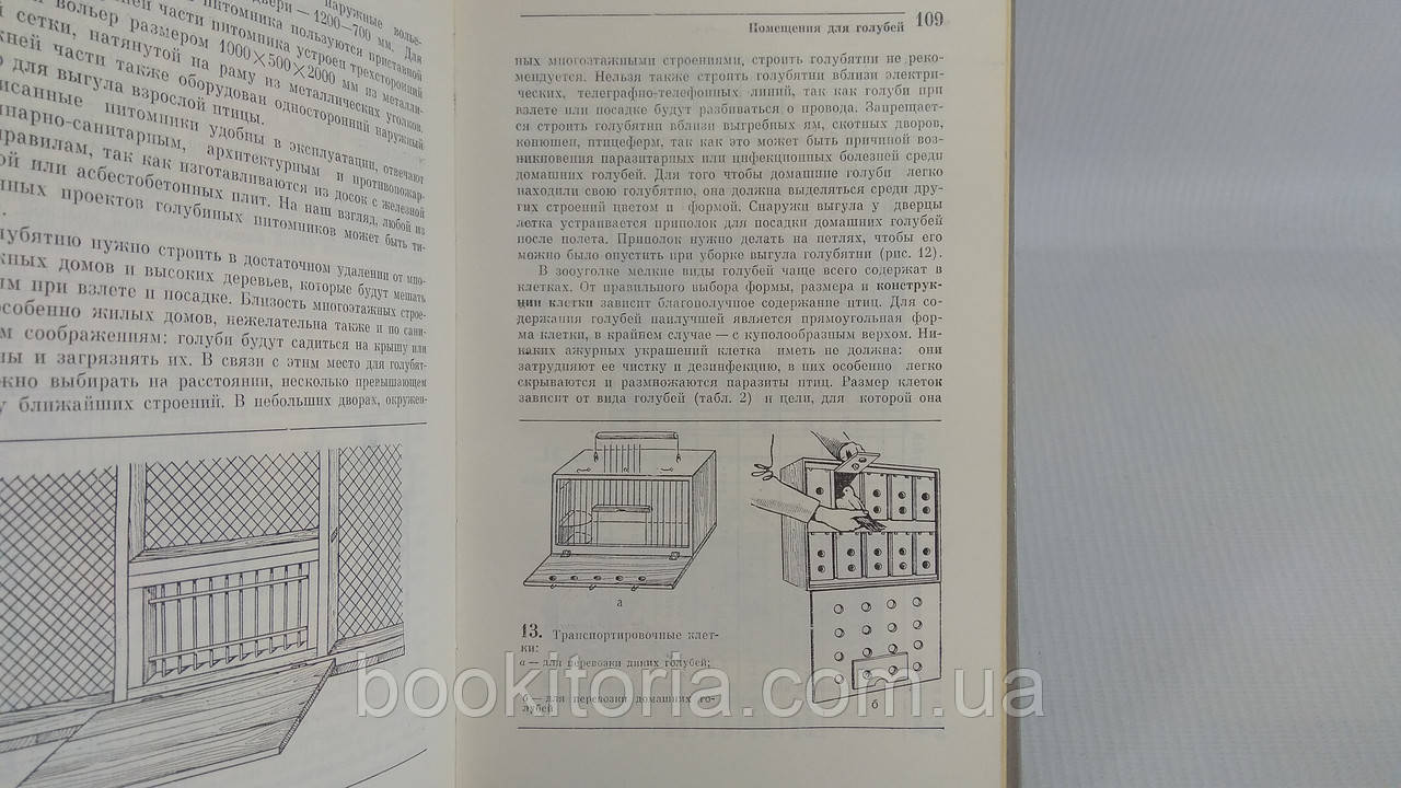 Рахманов А., Бессарабов Б. Голуби и профилактика их заболеваний (б/у). - фото 8 - id-p1684115476